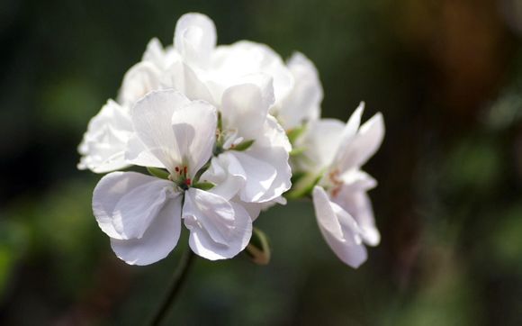 超级英雄电影结局彩蛋
