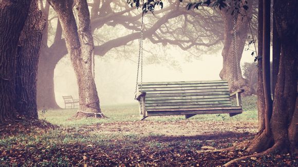 人生如茶电视剧大结局