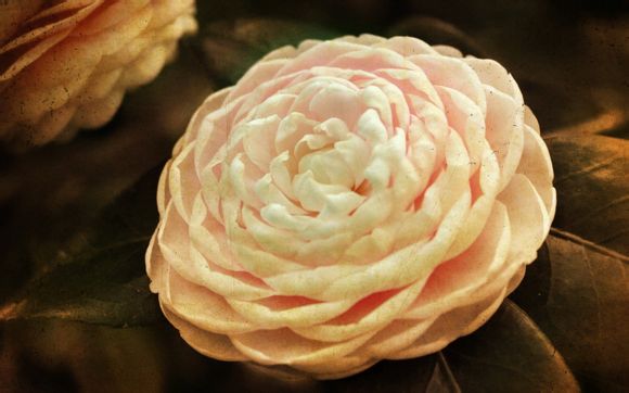 发现人生电视剧结局