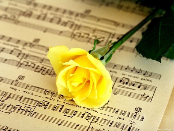 抽骨髓剧情电视剧推荐