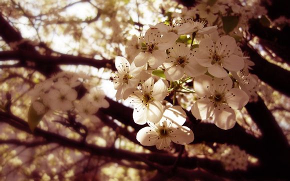 继母后妈电视剧结局