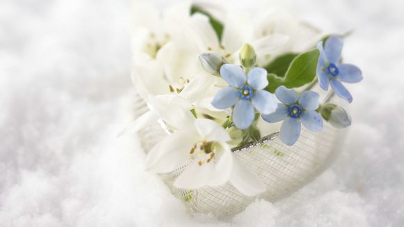 富婆抢车位电影结局