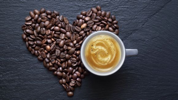 穿越火线第二季动漫结局