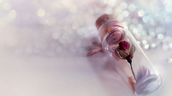 保洁妈妈电视剧剧情介绍