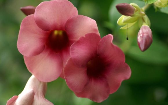 镇魂电视剧23集剧情