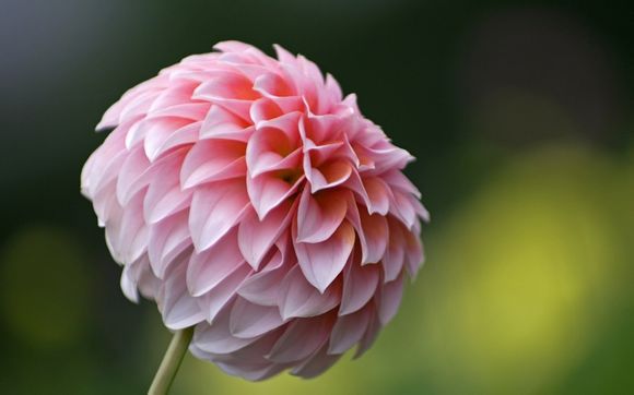 宇宙探索电影剧情介绍