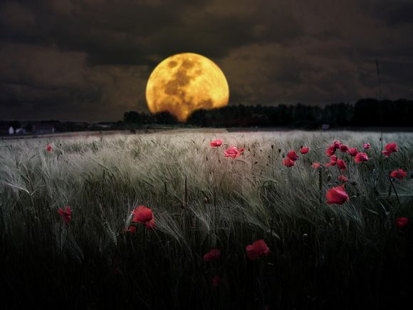 水浒传的电影结局