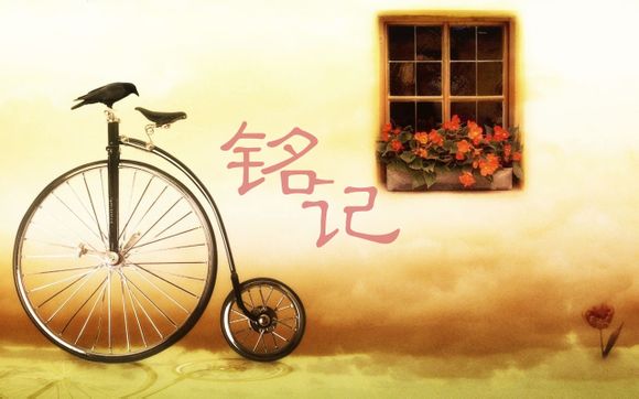我是女兵漫画结局解析