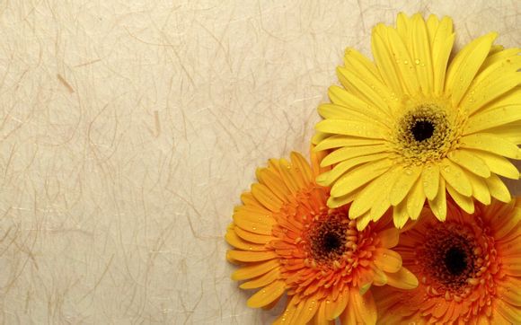 韩国电影新世界结局解析