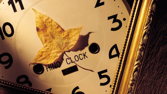 欢喜密探电视剧全集剧情