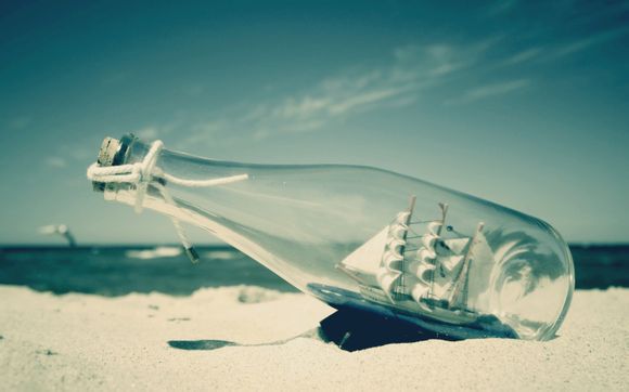 我是特工电视剧剧情简介