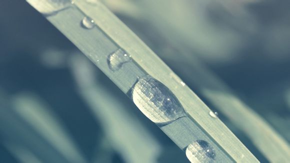 我死后第三年漫画结局