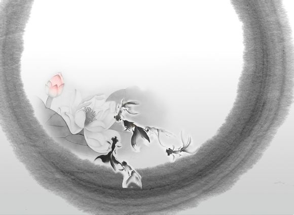 铁律电视剧剧情