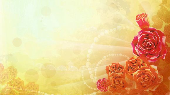 艳阳电视剧结局