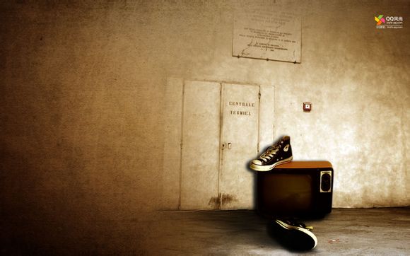 野鸭电视剧全集剧情解析