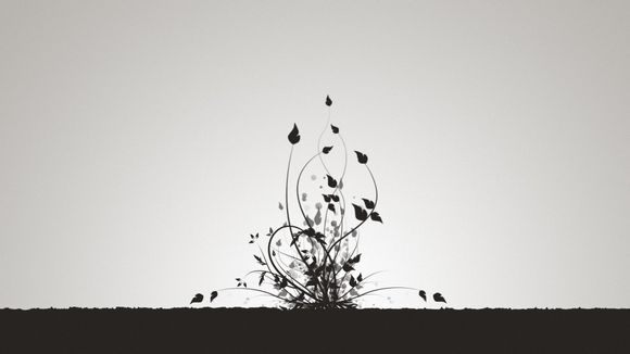 不许动电影剧情解析