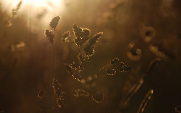 令人窒息的囚犯漫画结局