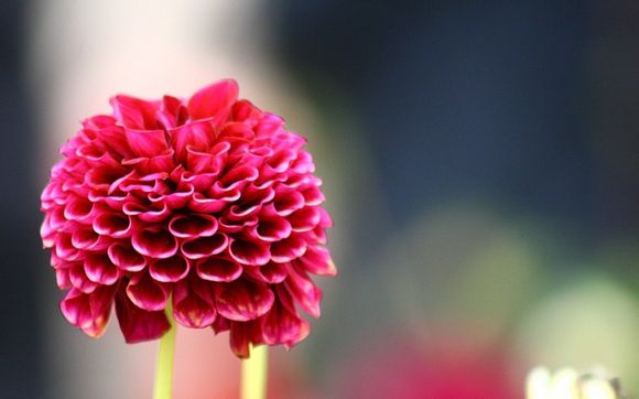 辰飞电视剧第8集剧情