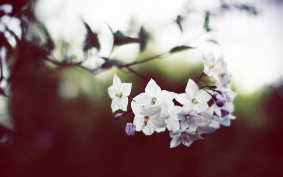 抹起了眼泪电视剧剧情介绍