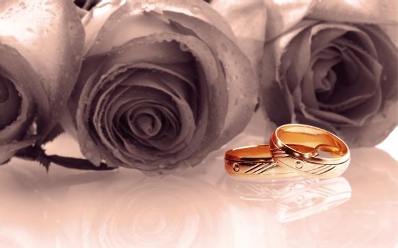 电视剧阻击部队大结局