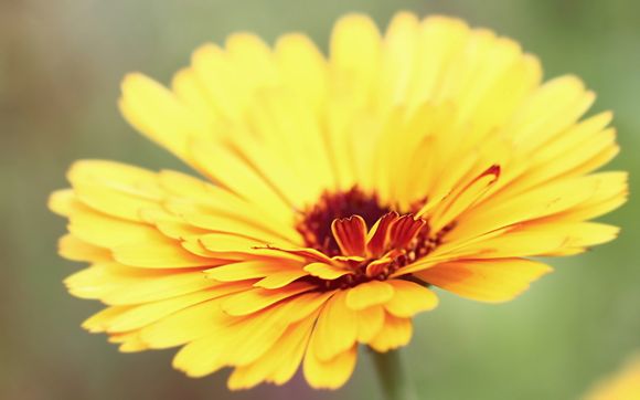 白鹿原电视剧结局篇