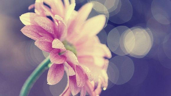 关于双男主的剧情电视剧