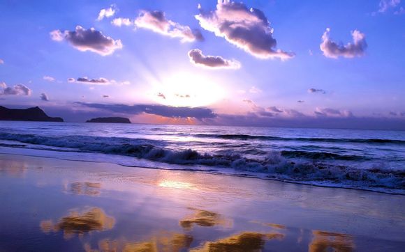 千金娘子电视剧剧情介绍