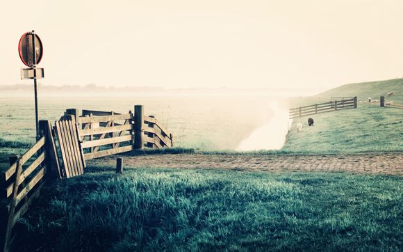 九皇缠宠结局是什么