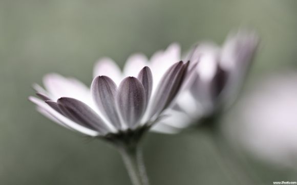 一切的开端漫画结局解析