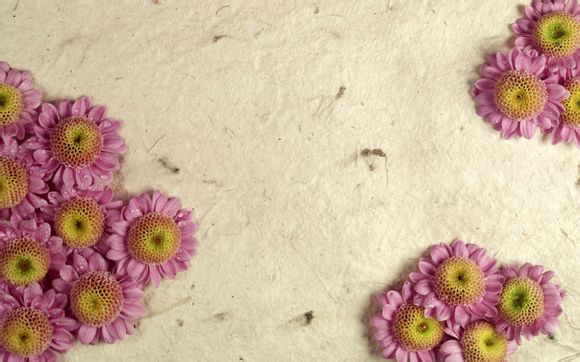 兵王电视剧杨灿结局