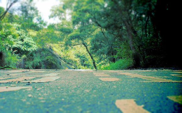 老人爱看的剧情电视剧