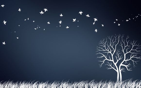 一日夫妻电视剧大结局