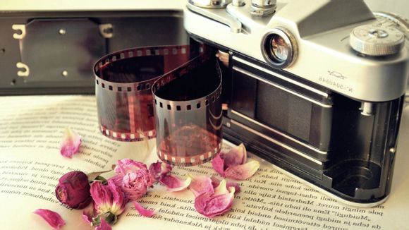 毒苹果电视剧大结局报警后续