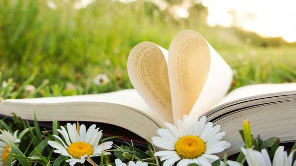 大唐英豪电影大结局