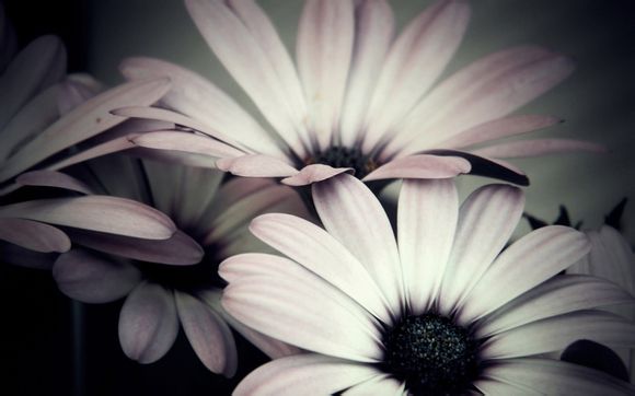 电影测试结局讲解