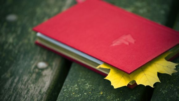 大爱电视剧杨紫结局如何