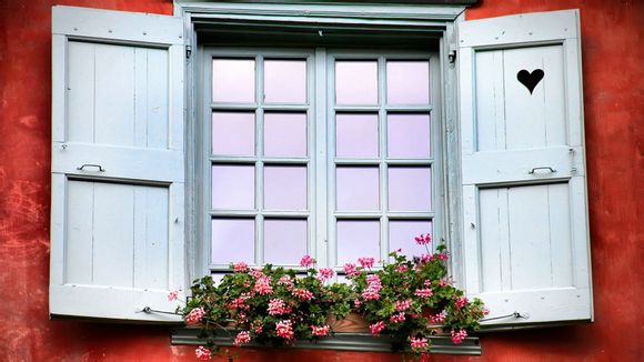 动漫龙兄虎弟结局是什么